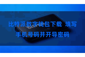 比特派数字钱包下载  填写手机号码并开导密码