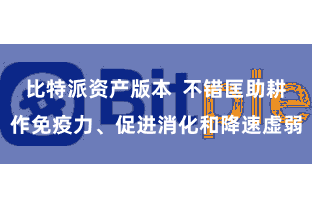 比特派资产版本  不错匡助耕作免疫力、促进消化和降速虚弱
