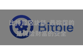 比特派区块链  最弥留的是保险财富的安全