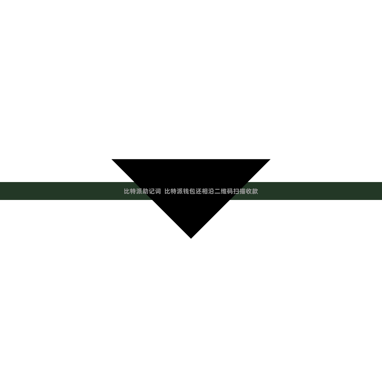 比特派助记词  比特派钱包还相沿二维码扫描收款