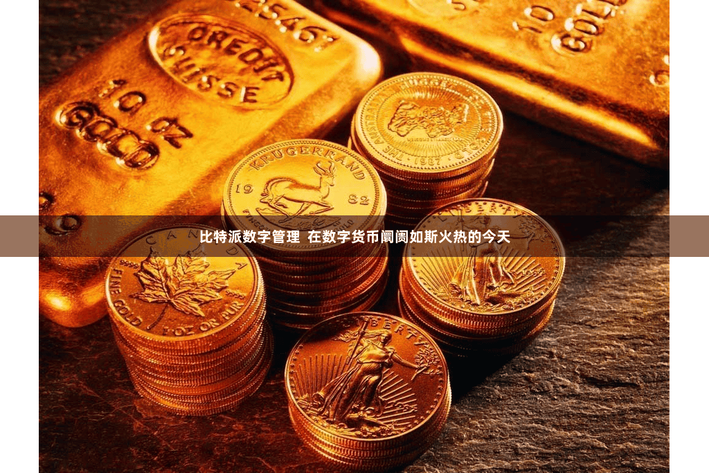 比特派数字管理  在数字货币阛阓如斯火热的今天