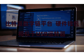 比特派数字链平台  硬件钱包相似于USB运转器