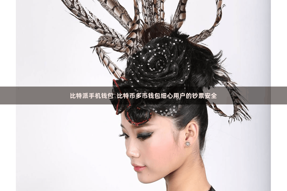 比特派手机钱包  比特币多币钱包细心用户的钞票安全
