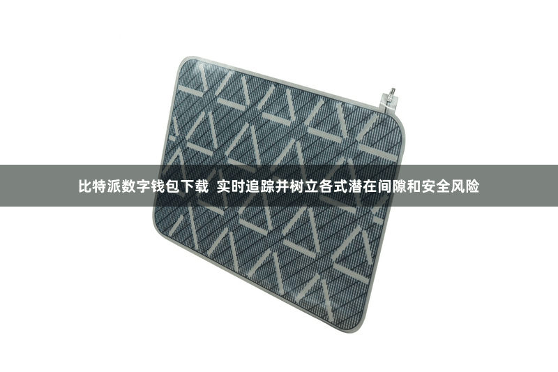 比特派数字钱包下载  实时追踪并树立各式潜在间隙和安全风险