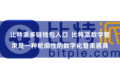 比特派多链钱包入口 比特派数字管束是一种轮廓性的数字化管束器具