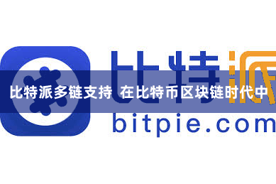 比特派多链支持 在比特币区块链时代中