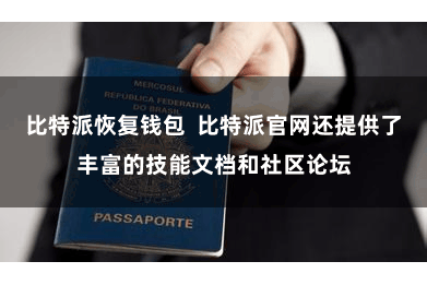比特派恢复钱包 比特派官网还提供了丰富的技能文档和社区论坛