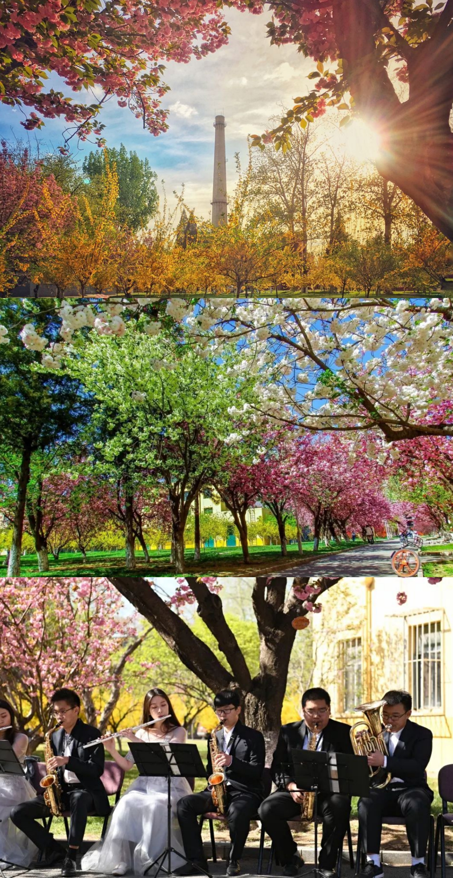 1594103965378536.jpg 34.jpg