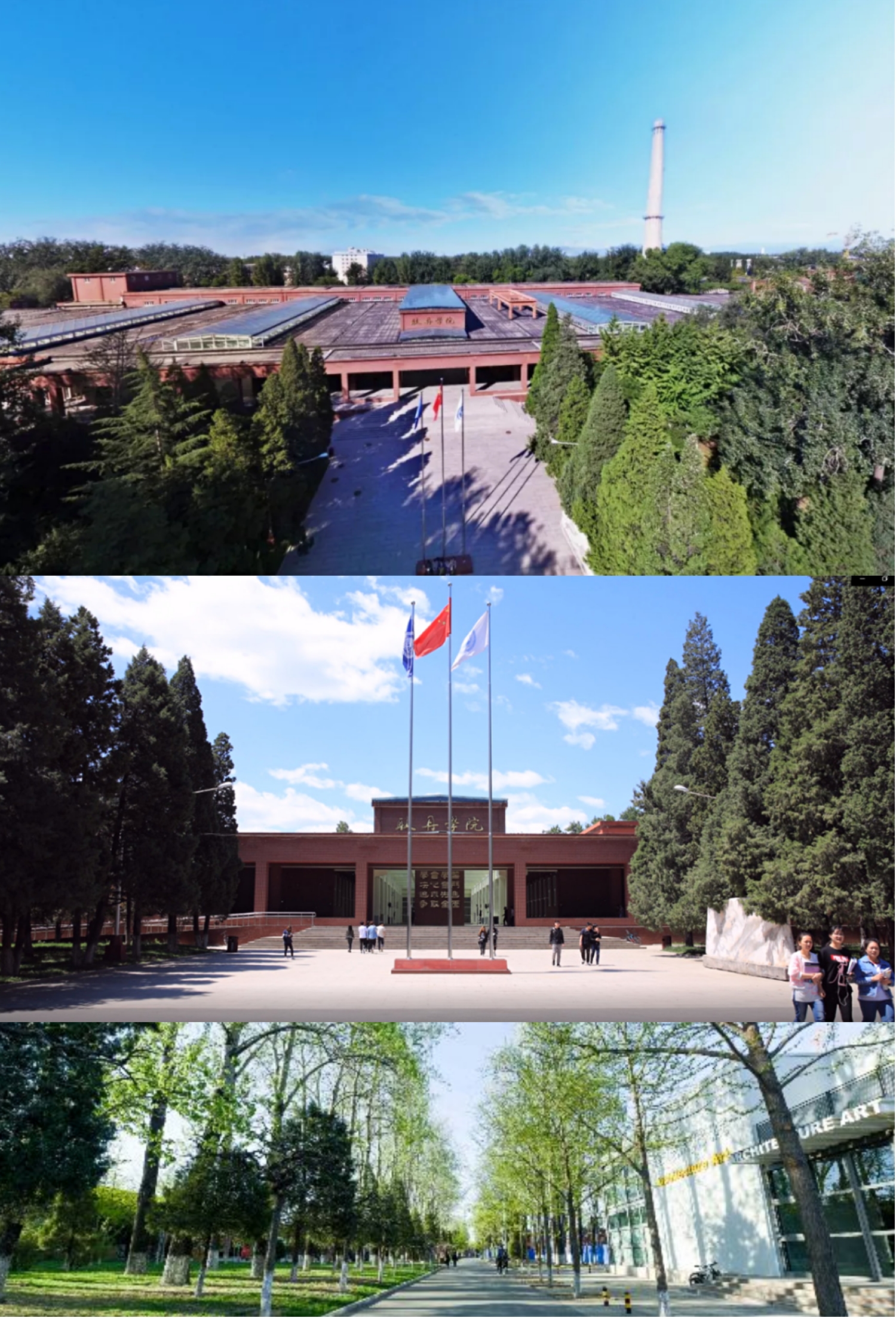 1594104064194180.jpg 35.jpg